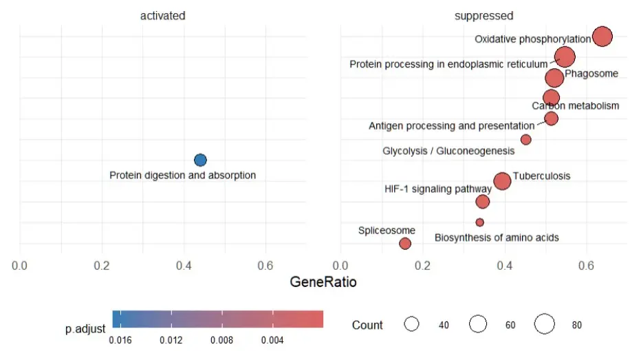 KEGG pathways split by direction of regulation